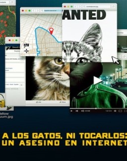 A los gatos ni tocarlos: Un asesino en Internet temporada 1 capitulo 3