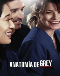 Anatomía de Grey Temporada 10