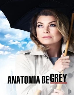 Anatomía de Grey temporada 12 capitulo 5