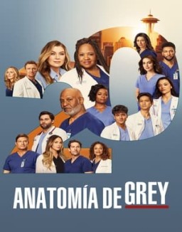 Anatomía de Grey Temporada 20