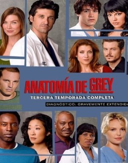 Anatomía de Grey temporada 3 capitulo 20