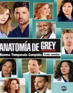 Anatomía de Grey temporada 9 capitulo 18