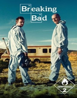 Breaking Bad temporada 2 capitulo 3