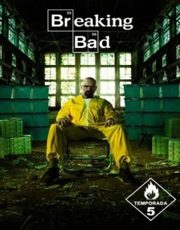 Breaking Bad temporada 5 capitulo 11