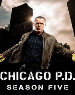 Chicago P.D. temporada 5 capitulo 11