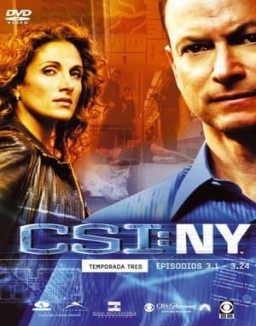 CSI: Nueva York temporada 3 capitulo 21