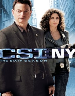 CSI: Nueva York temporada 6 capitulo 11