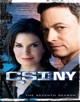 CSI: Nueva York temporada 7 capitulo 8