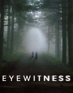 Eyewitness temporada 1 capitulo 1