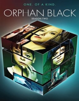 Orphan Black temporada 2 capitulo 10