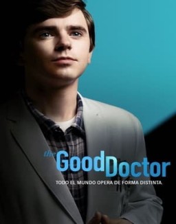 The Good Doctor temporada 1 capitulo 13